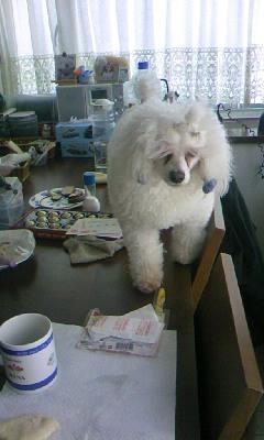 2009いたずら.jpg