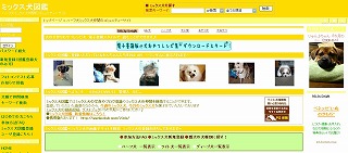 ミックス犬.jpg