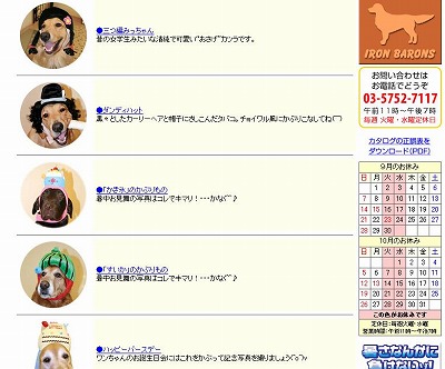 犬用かぶり物.jpg