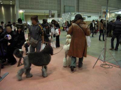 DSCN0257.jpg