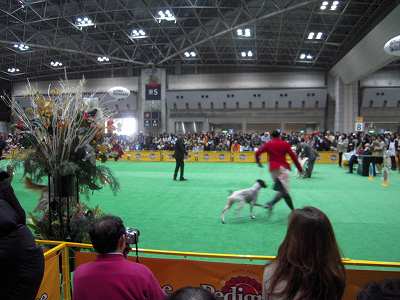 DSCN0265.jpg