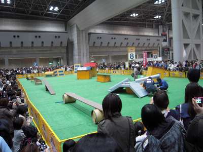DSCN0266.jpg