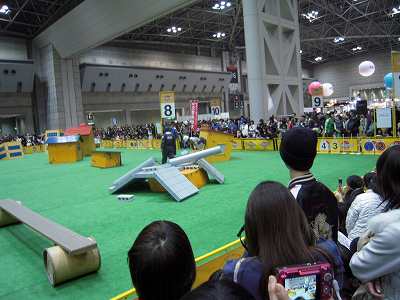 DSCN0267.jpg
