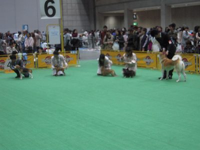 DSCN0273.jpg