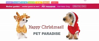 PETPARADISE.jpg