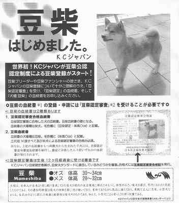img1.jpg
