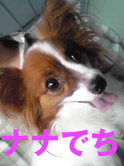 nana.gif
